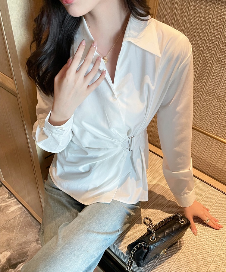 Slim lapel profession long sleeve spring shirt