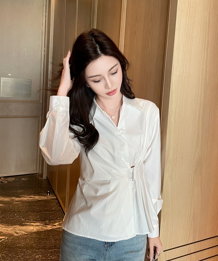 Slim lapel profession long sleeve spring shirt