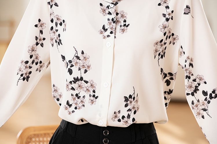 Niche printing shirt long sleeve tops for women