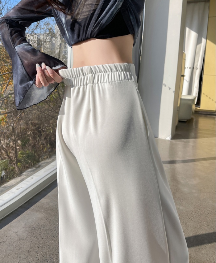 Spring slim business suit drape loose pants for women