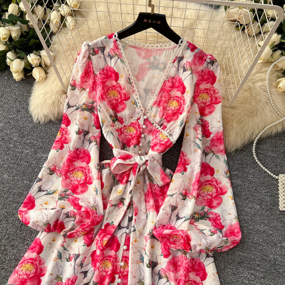 Big skirt single-breasted spring printing long sleeve dress