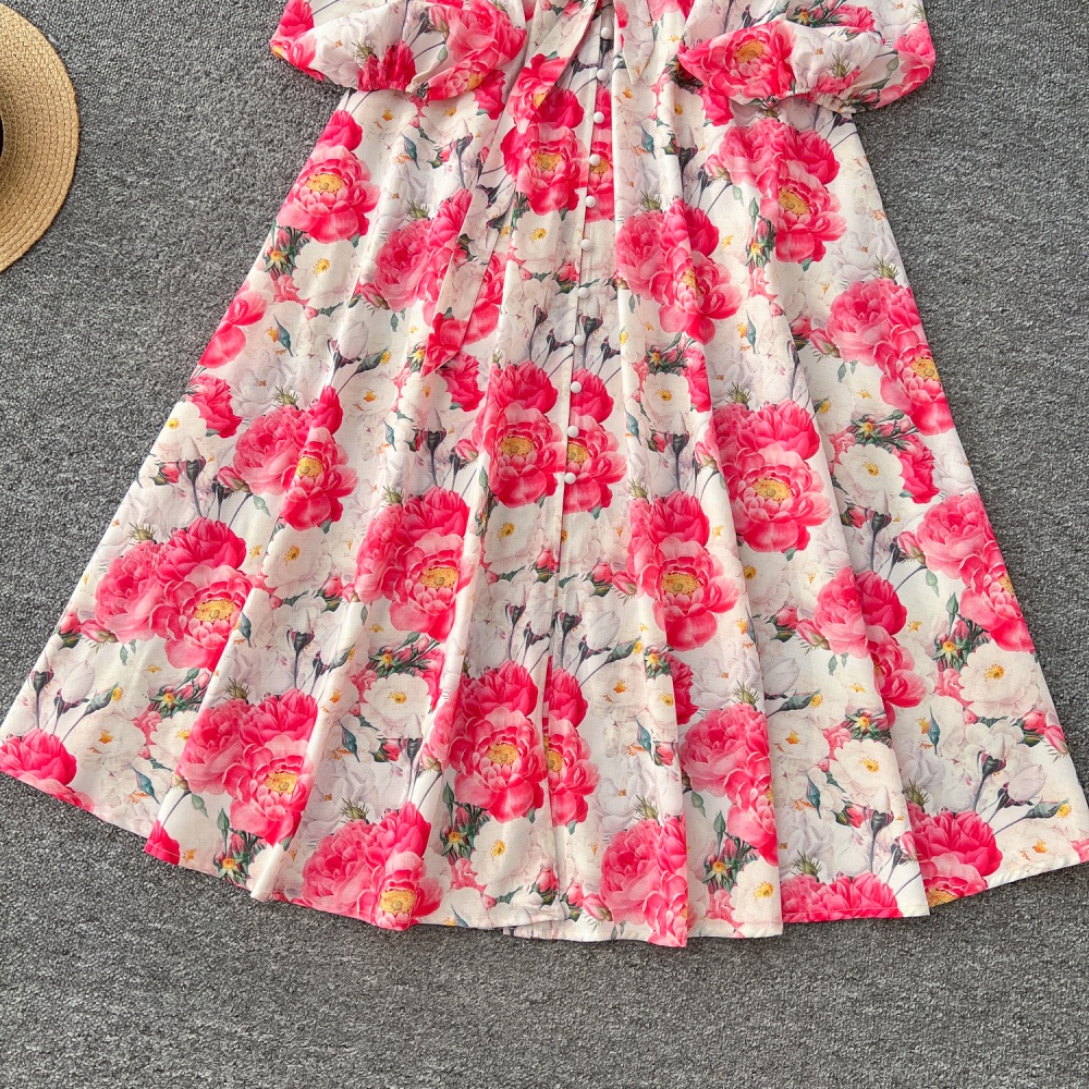 Big skirt single-breasted spring printing long sleeve dress