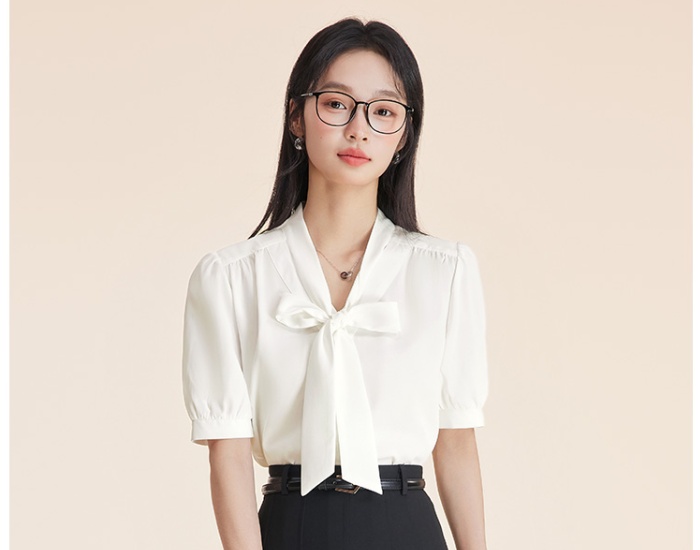 Streamer niche summer puff sleeve shirt for women