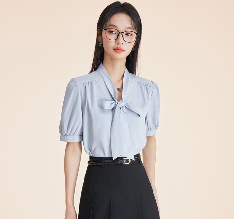 Streamer niche summer puff sleeve shirt for women