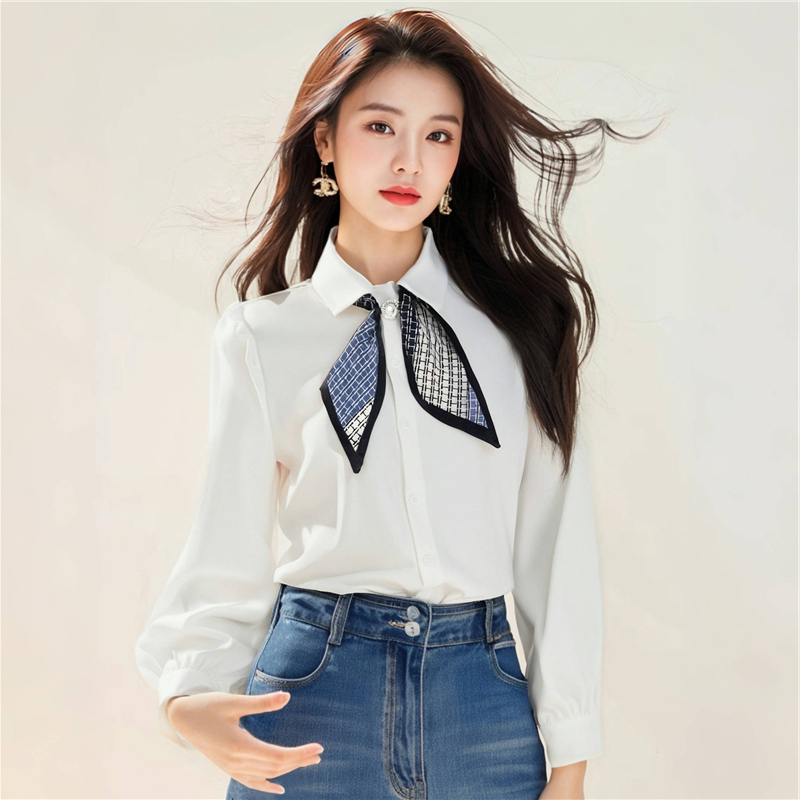 Long sleeve bow chiffon shirt spring shirt for women