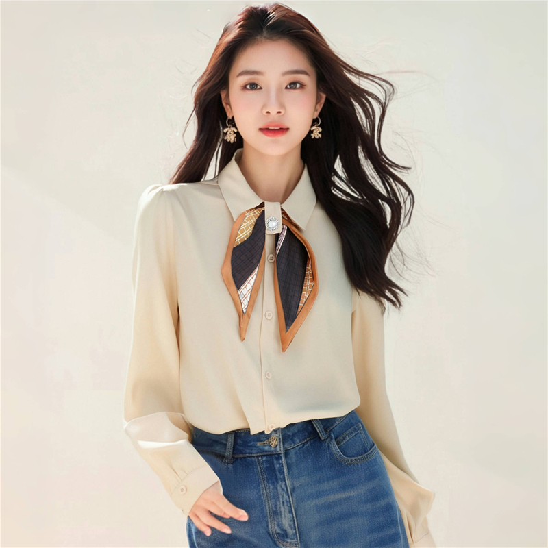 Long sleeve bow chiffon shirt spring shirt for women