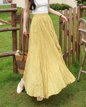 All-match skirt irregular long skirt for women