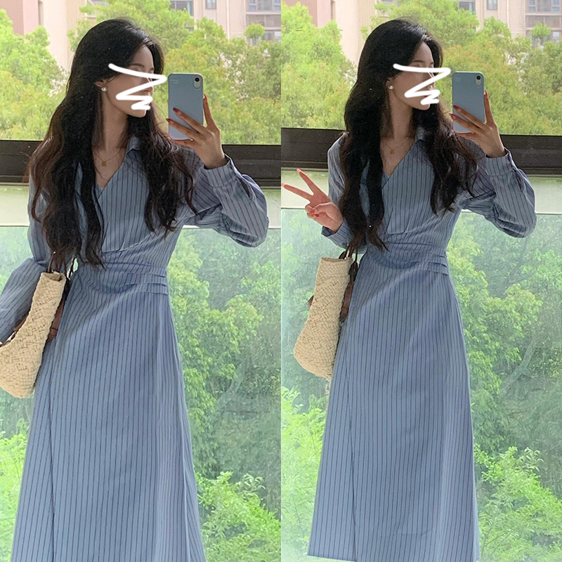 Pinched waist long dress France style dress for women