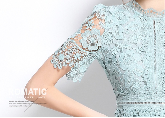 Lace long slim hollow short sleeve dress