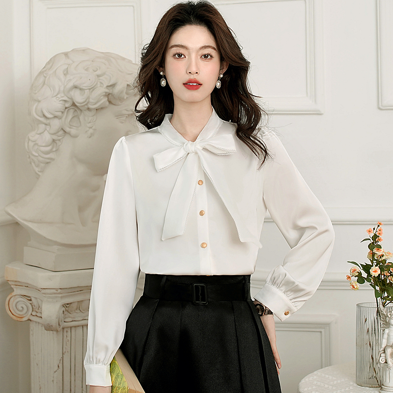 Frenum temperament long sleeve chiffon shirt for women