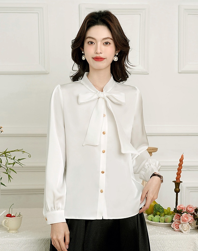 Frenum temperament long sleeve chiffon shirt for women