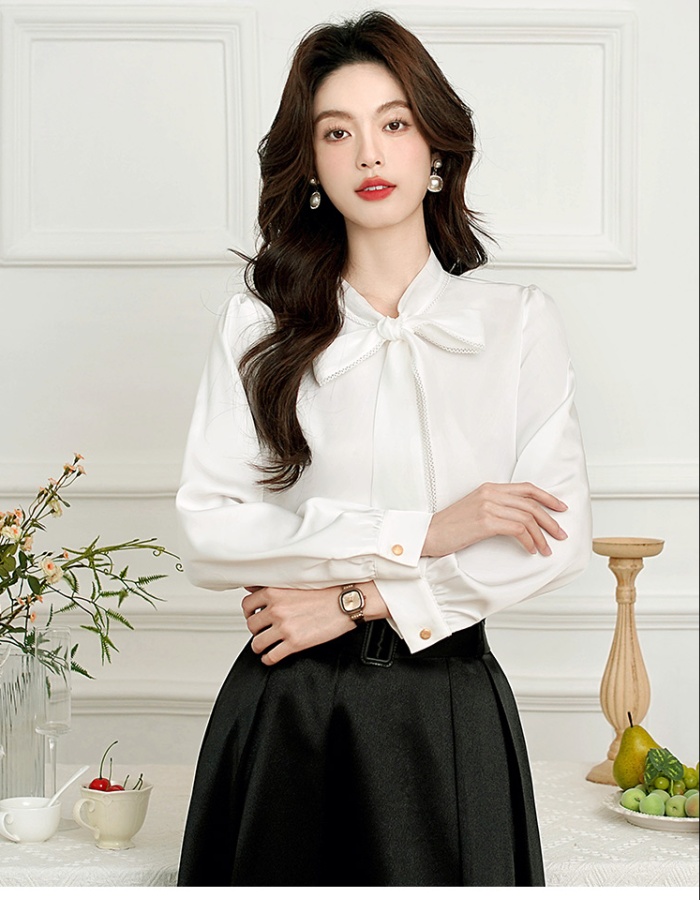 Frenum temperament long sleeve chiffon shirt for women