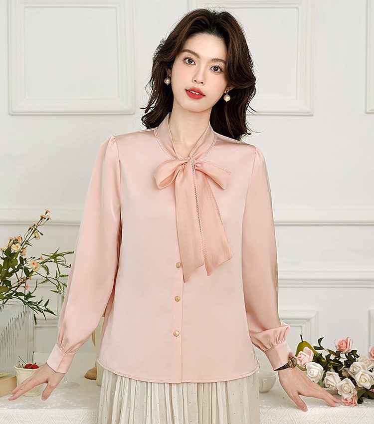 Frenum temperament long sleeve chiffon shirt for women