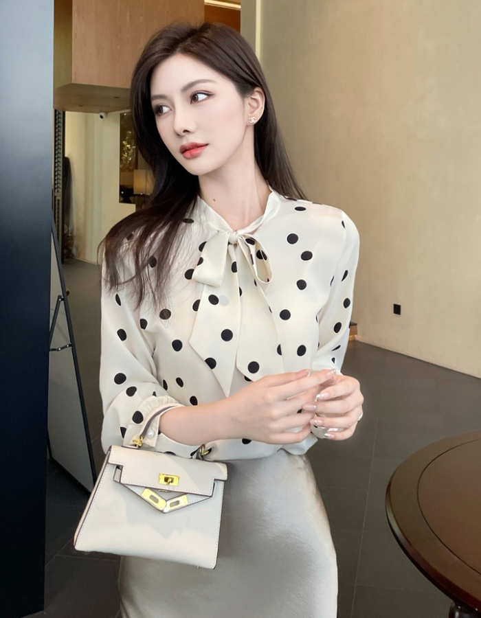 Profession long sleeve shirt polka dot chiffon shirt