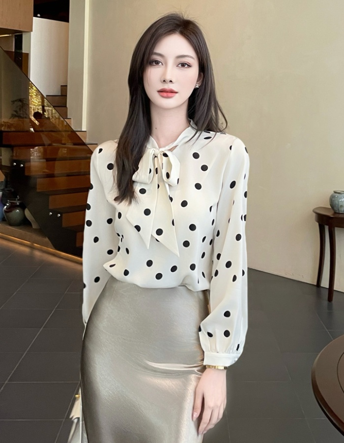 Profession long sleeve shirt polka dot chiffon shirt