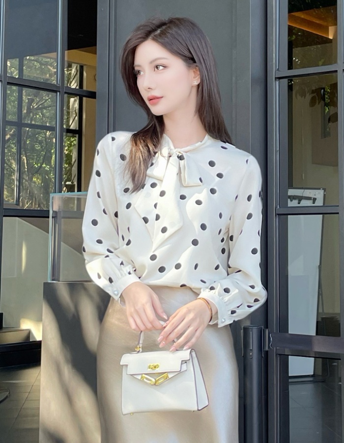 Profession long sleeve shirt polka dot chiffon shirt