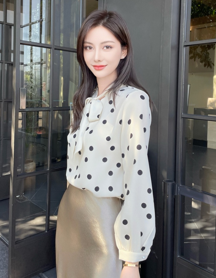 Profession long sleeve shirt polka dot chiffon shirt