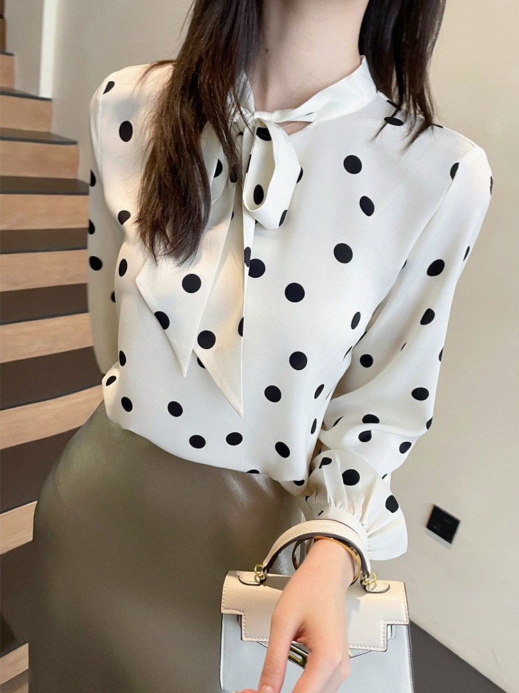 Profession long sleeve shirt polka dot chiffon shirt