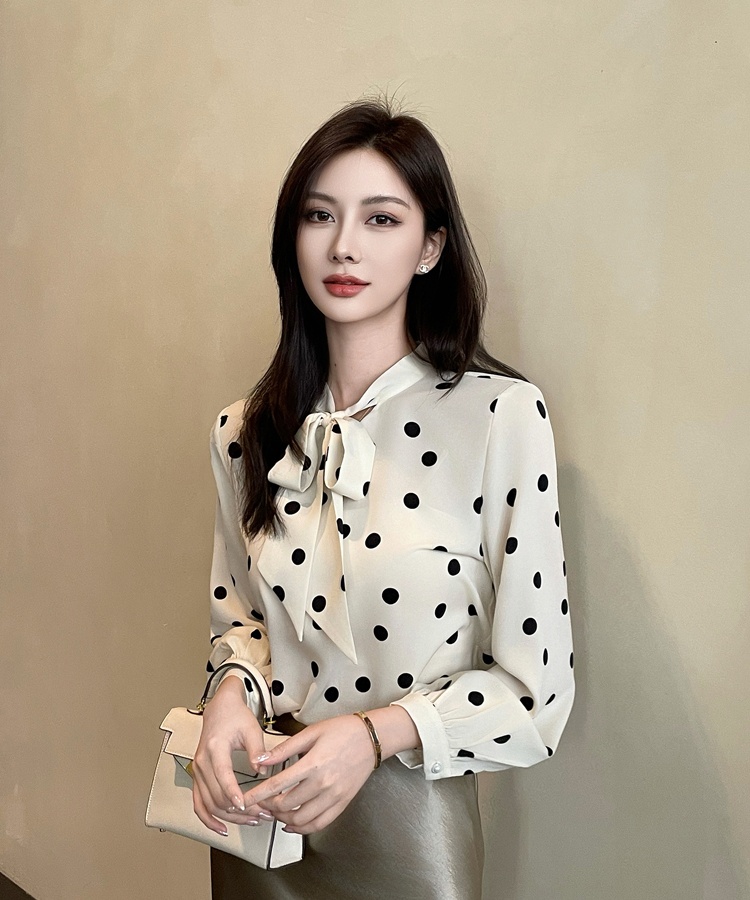 Profession long sleeve shirt polka dot chiffon shirt