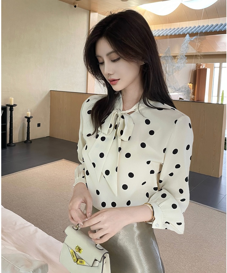 Profession long sleeve shirt polka dot chiffon shirt