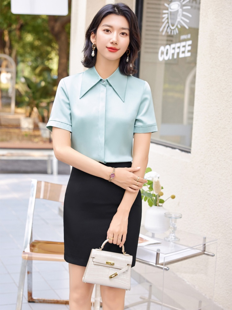 Temperament skirt profession shirt 2pcs set for women