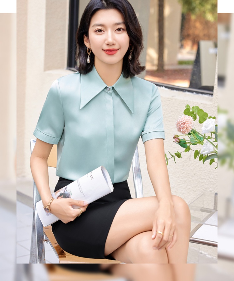 Temperament skirt profession shirt 2pcs set for women