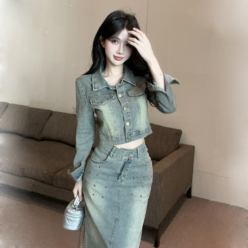 Long sleeve split long skirt retro coat 2pcs set for women