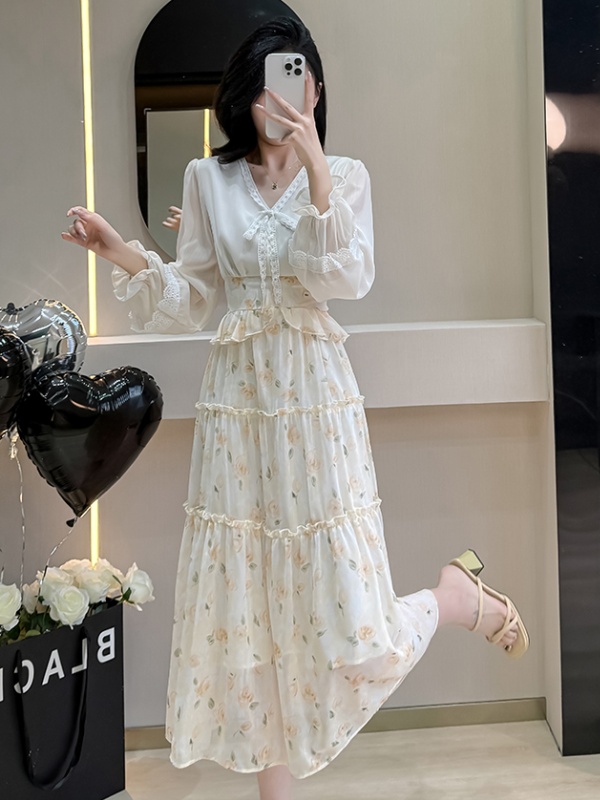 Printing lace spring cake dress for women