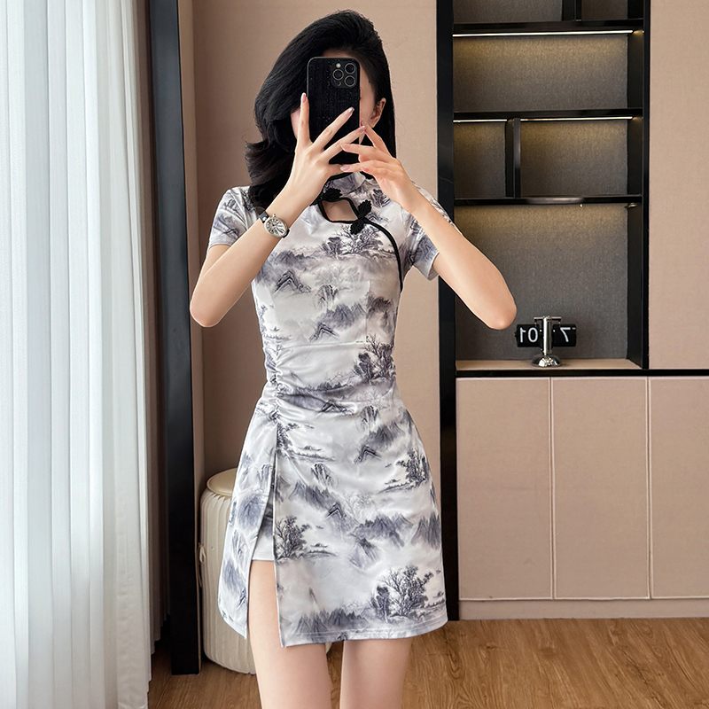 Summer printing dress temperament cheongsam 2pcs set