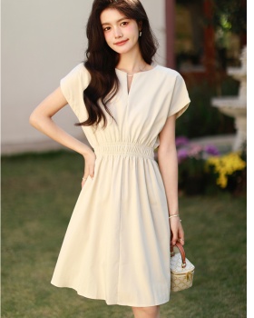 Niche pinched waist simple temperament slim dress