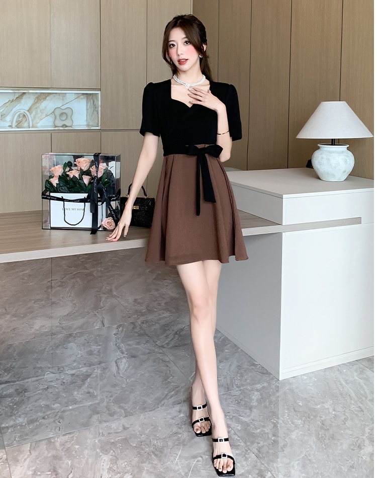 France style slim pinched waist dress for women