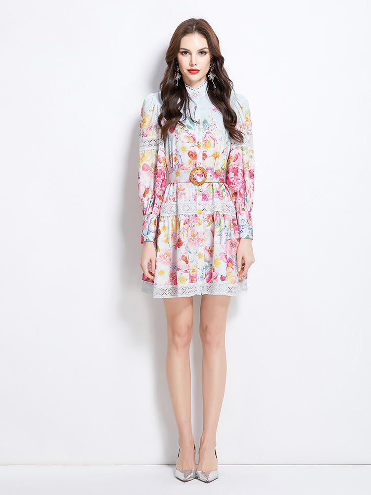 Painted spring and summer short painting lace dress