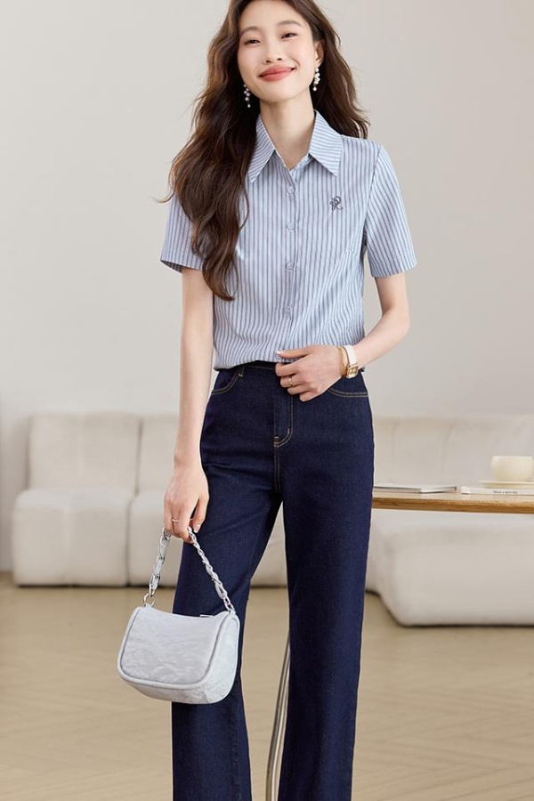 Commuting embroidery shirt vertical stripes summer tops