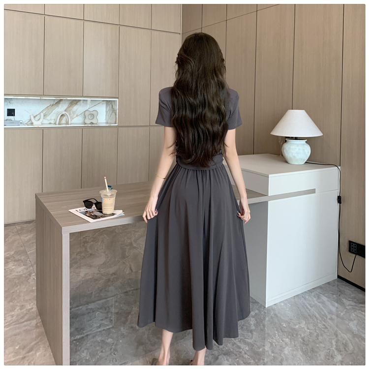 Short sleeve temperament tops summer skirt a set for women