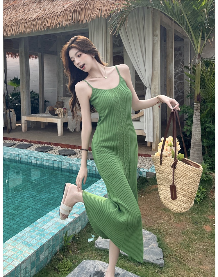 Vacation slim dress retro temperament long dress for women