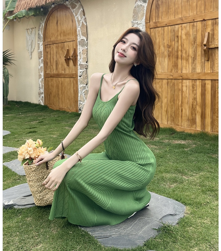 Vacation slim dress retro temperament long dress for women