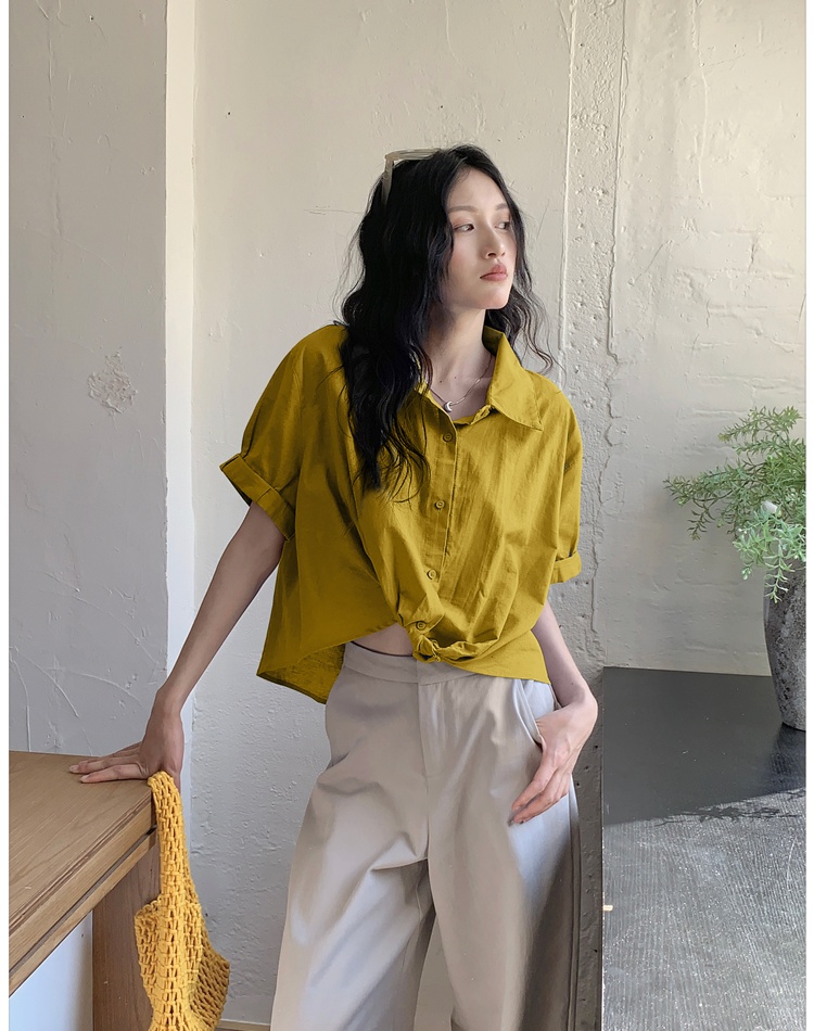 Short sleeve Korean style commuting shirt summer niche loose tops