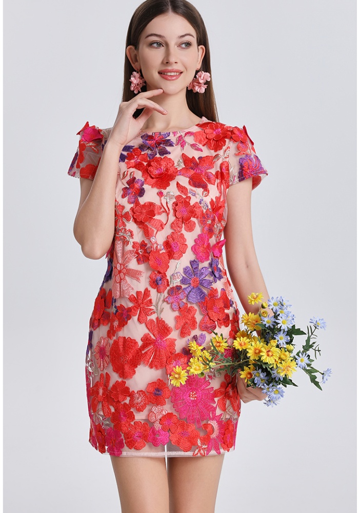 Package hip embroidered court style colors dress