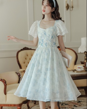 A-line pinched waist dress slim long dress for women