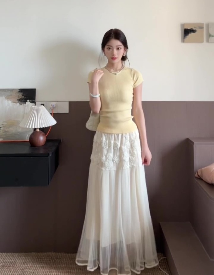 Summer lace skirt show young T-shirt 2pcs set