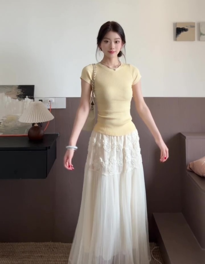 Summer lace skirt show young T-shirt 2pcs set
