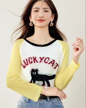 Long sleeve thin smock summer raglan T-shirt for women