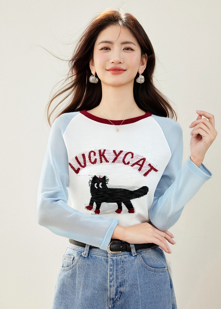 Long sleeve thin smock summer raglan T-shirt for women