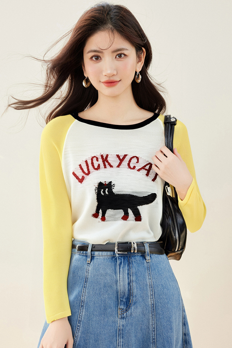 Long sleeve thin smock summer raglan T-shirt for women