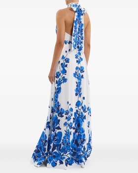 Long vacation long dress printing fashion dress
