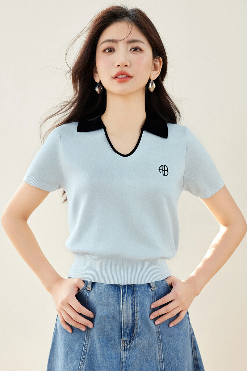 Embroidery niche summer sweater retro slim shirts