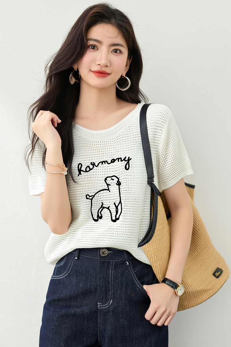 Korean style summer sweater slim embroidery tops