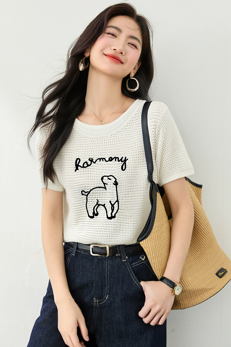 Korean style summer sweater slim embroidery tops