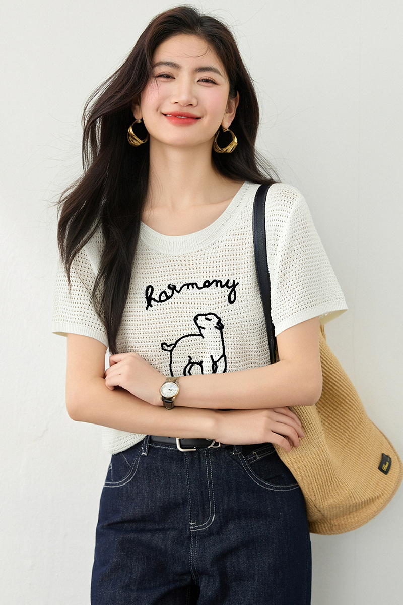 Korean style summer sweater slim embroidery tops