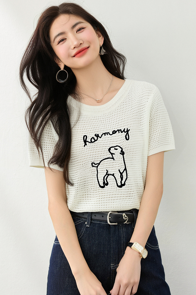 Korean style summer sweater slim embroidery tops